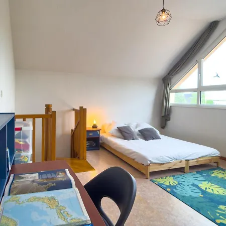 Parking Privé En Résidence - - 3 Lits 180, 160, 140 Cm Sélestat