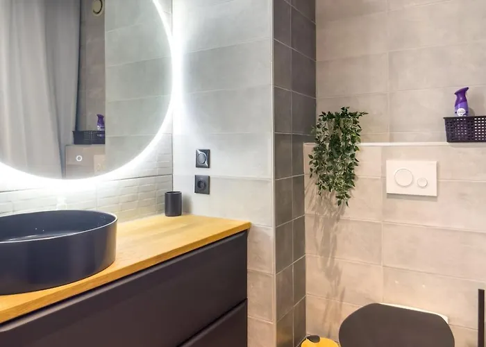 Apartmán Parking Prive En - - 3 Lits 180, 160, 140 Cm Sélestat